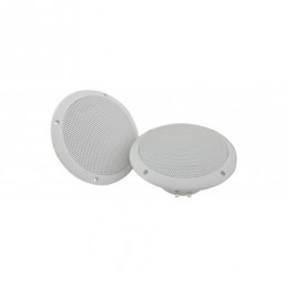 0D6-W8 Water resistant speaker