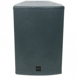 CX-3008 passive professional speaker 12" 300Wrms